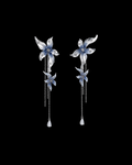 Filomena Dangle