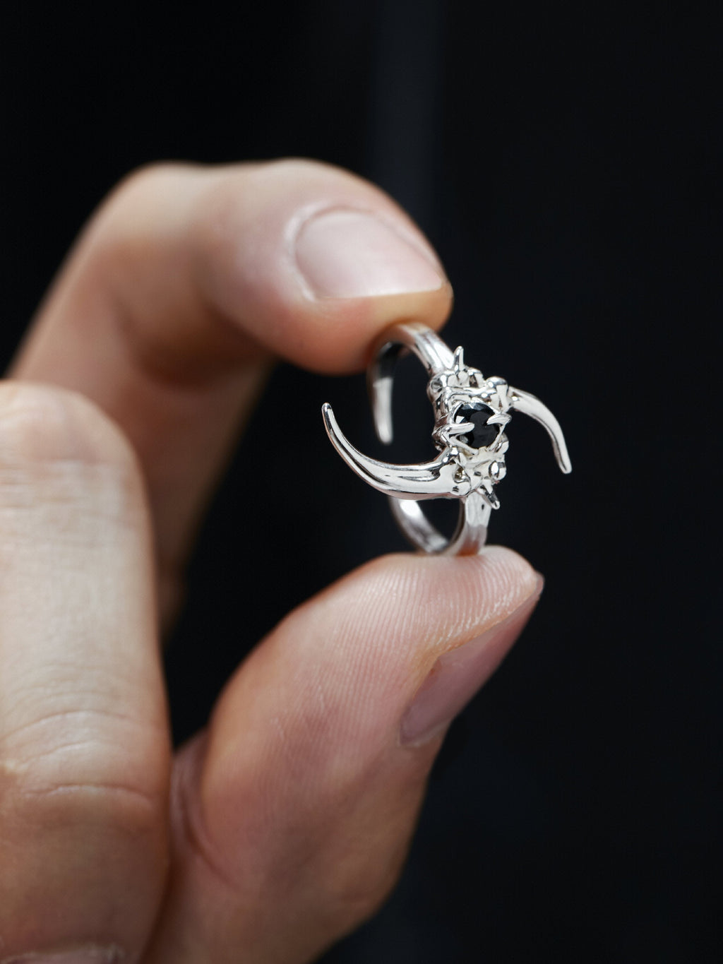 Onyx Claw